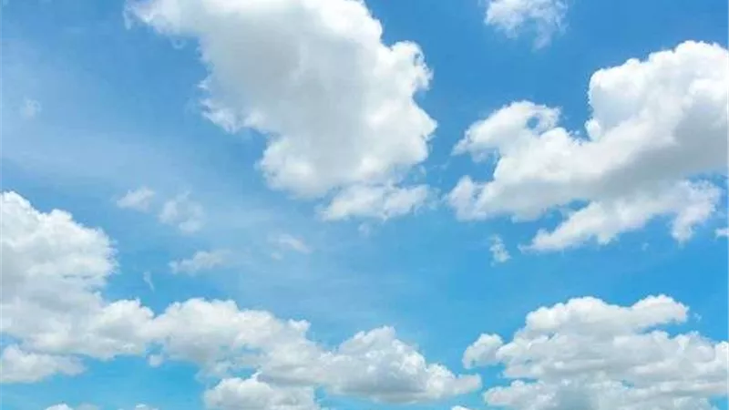 ظهرت في معظم محافظات مصر.. سر رائحة نسائم الياسمين