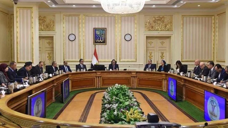 البنك الدولي يمنح الحكومة المصرية 7.9 مليون دولار لمواجهة كورونا