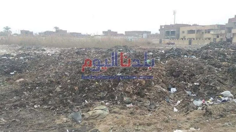 رفع 7 آلاف و300 م3 قمامة ومخلفات بناء من المقالب العشوائية بالشرقية