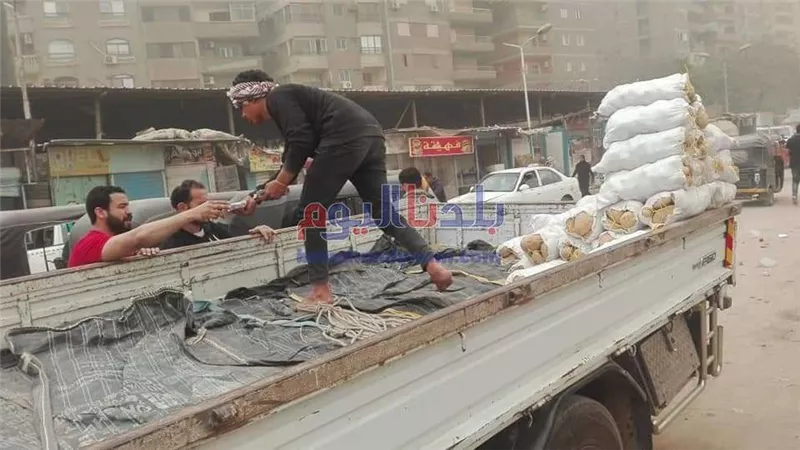 تموين العجوزة يشرف على بيع ٥ طن بطاطس بأرض اللواء