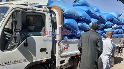 استمرار أعمال استلام توريد الأقماح المحلية ببني سويف.. تفاصيل