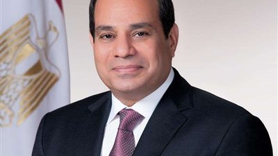 محافظ مطروح يهنئ رئيس الجمهورية بمناسبة ذكري 30 يونيو