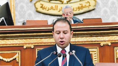 النائب حسن عمار: ٣٠ يونيو سطرت ملحمة وطنية في حماية البلاد من مؤامرات التقسيم وطمس الهوية