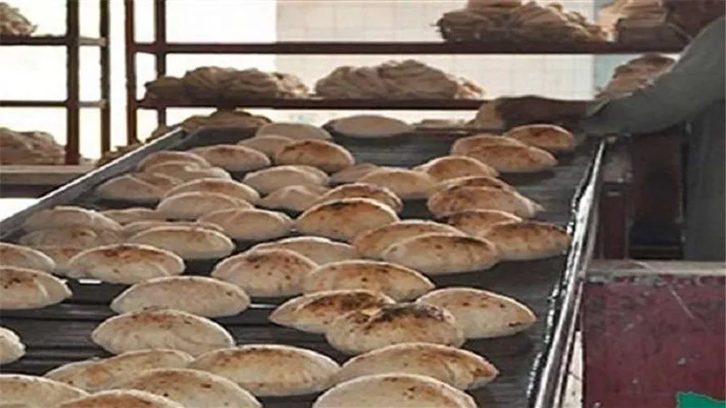 تعرف على فوائد «عيش البطاطا»