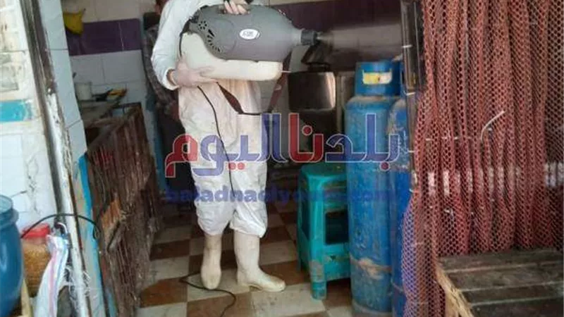 تطهير 62 ألف و594 مبنى ومنشأة بالمنوفية
