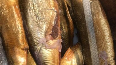 القبض على صاحب مصنع بحوزته 2 طن رنجة وفسيخ فاسد ببدر