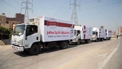 صندوق تحيا مصر يوفّر 10 أطنان مواد غذائية و2.5 طن لحوم لسكان قرية المعتمدية