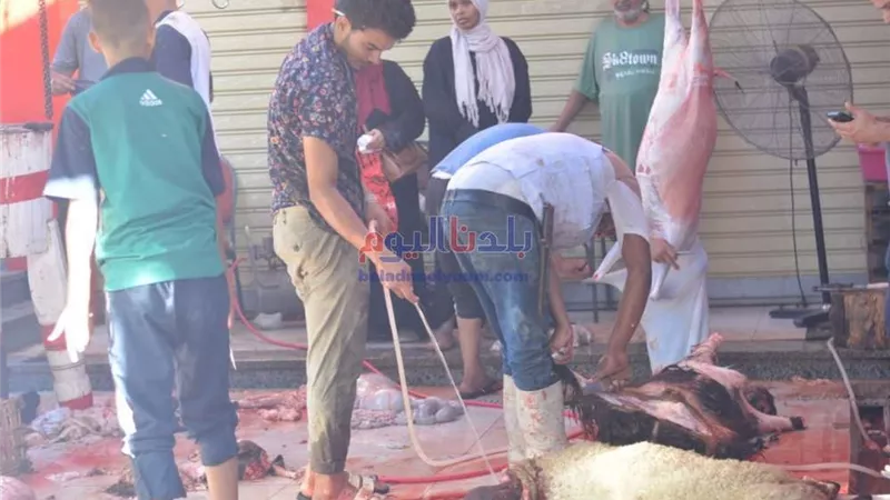 تصل إلى 10 ألاف جنيه.. تعرف على غرامة ذبح الأضاحي في الشوارع