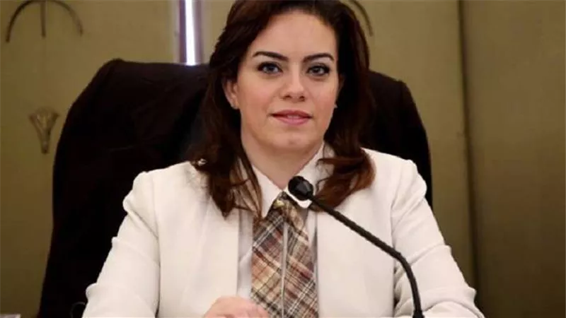 سيلفيا نبيل: يجب التفكير في توجيه دعم قطاعات اقتصادية جديدة تدر دخل للدولة وتواكب التطور العالمي