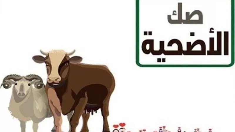 وزير الأوقاف يعلن عن المديريات المتفوقة في مشروع صكوك الأضاحي