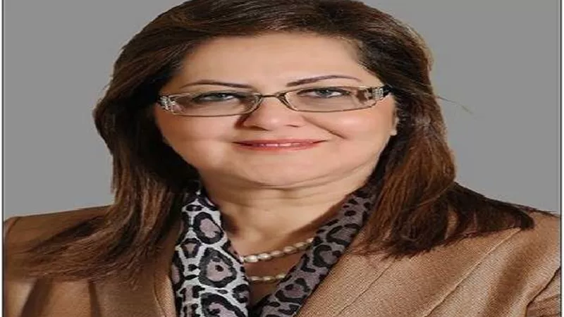 شريك أساسي.. وزيرة التخطيط: الدولة تدفع بالقطاع الخاص من أجل التنمية