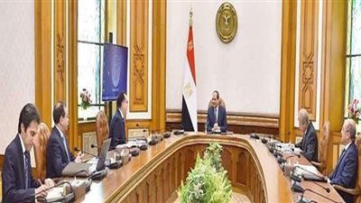 الرئيس السيسي يستعرض موقف سوق النفط العالمي بعد انتشار فيروس كورونا