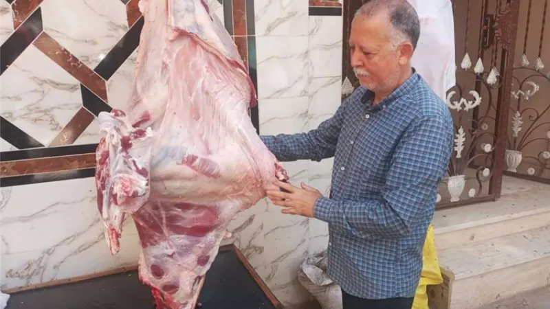 ضبط لحوم خارج السلخانة ومخابز مخالفة فى حملة تموينية بالدقهلية