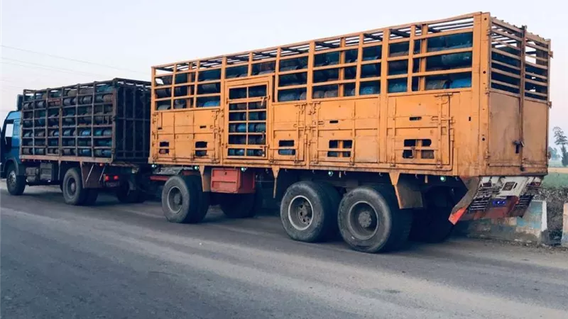 ضبط طن ونص كحول و 22 ألف كمامة و1340 أسطوانه غاز قبل بيعها بالسوق السوداء
