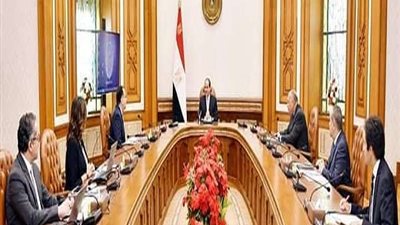 الرئيس السيسي يطلع على موقف المواطنين المصريين العالقين في الخارج