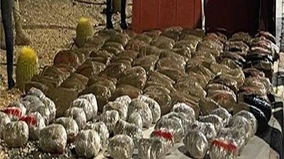 مكافحة المخدرات تعكر صفو تجار الكيف في العيد.. ضبط 8 كيلو هيروين و25 كيلو حشيش خلال 24 ساعة