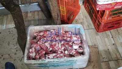 الطب البيطري يضبط 1471 كيلو من اللحوم والدواجن ومشتقاتهم مجهولين المصدر بالغربية