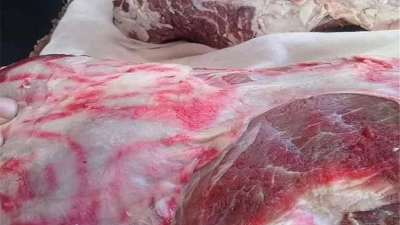 بيطرى المنوفية: ضبط 44 طن لحوم ودواجن وأسماك غير صالحة للاستهلاك الآدمى قبل طرحها على المواطنين