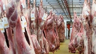 محافظ القليوبية: المجازر جاهزة لاستقبال الأضاحي من المواطنين بالمجان