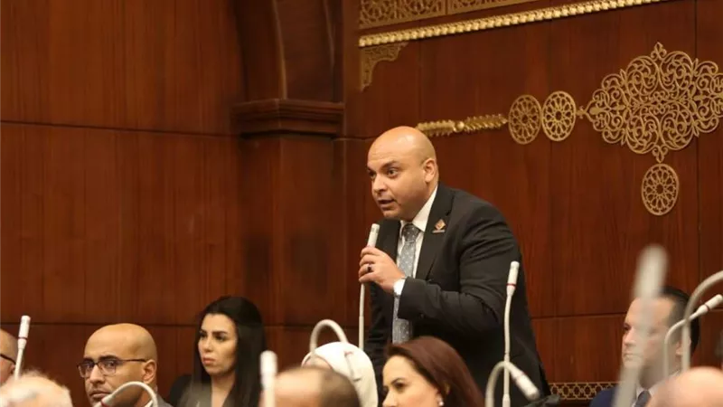 برلماني: تفعيل لجنة العفو الرئاسي فرصة لبداية جديدة