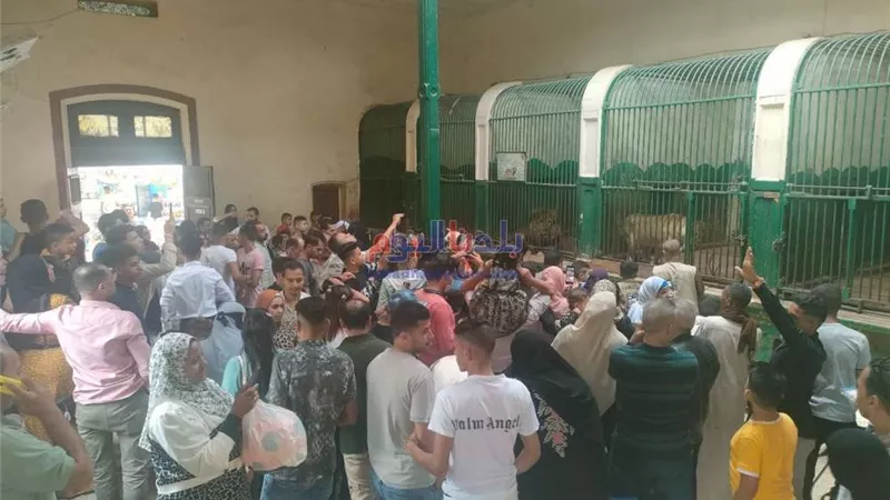 رجائي: افتتاح مشروع للحيوانات الأليفة بـ حديقة الجيزة
