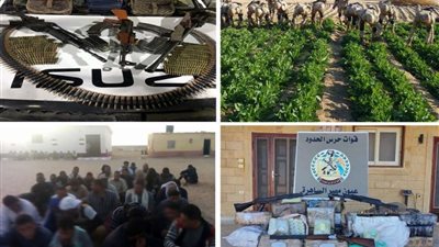 قوات حرس الحدود: اكتشاف وتدمير 10 أنفاق وضبط 318 بندقية بشمال سيناء
