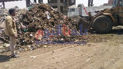 رفع ألفي طن من القمامة وتشجير مدخل قرية الشوبك الشرقي بالصف