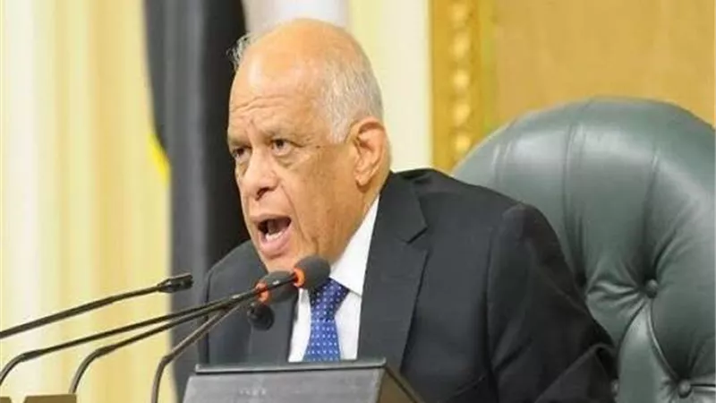 رئيس البرلمان: لن نقبل بإهانة أي مصري في الداخل أو الخارج