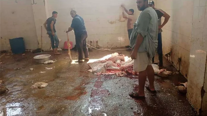 رئيس مدينة الشهداء يتابع تطبيق الإجراءات الصحية للمذابح