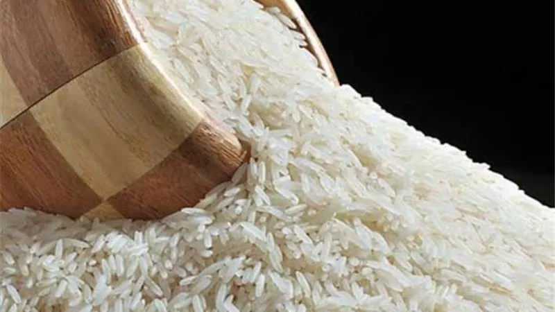 أبو الوفا: انخفاض كبير في أسعار الأرز