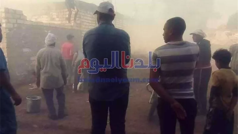 ماس كهربائي يتسبب في حريق حظيرة مواشي بالمحلة