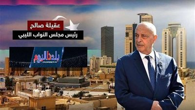 مجلس النواب الليبي يوجه اقتراحًا إلى الأمم المتحدة لإنهاء الأزمة في البلاد