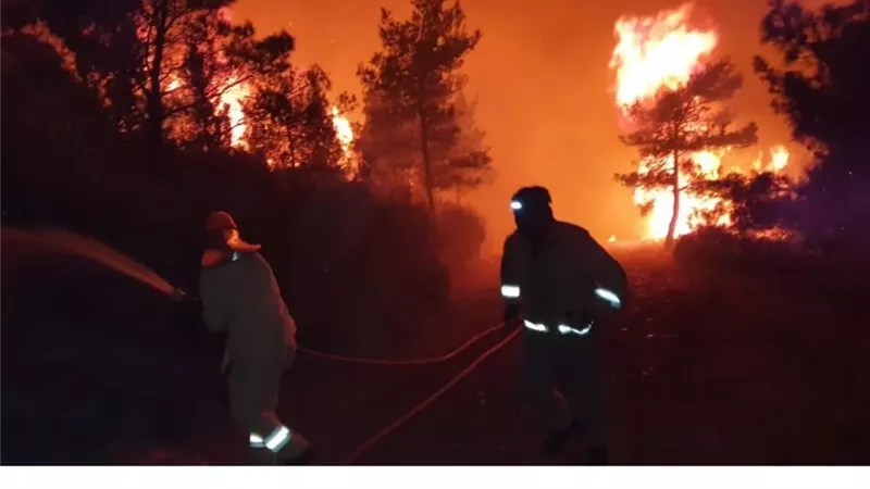 ارتفاع حرارة الجو تشعل الحرائق في شمال المغرب.. تفاصيل