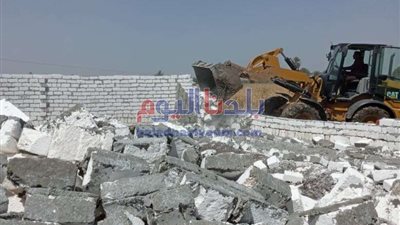 إزالة 272 حالة تعدي على أملاك الدولة والأراضي الزراعية بالمنوفية
