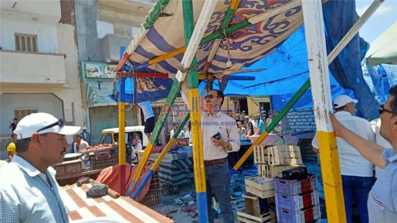 إزالة 300 إشغال طريق بحوش عيسى في حملة موسعة بالبحيرة