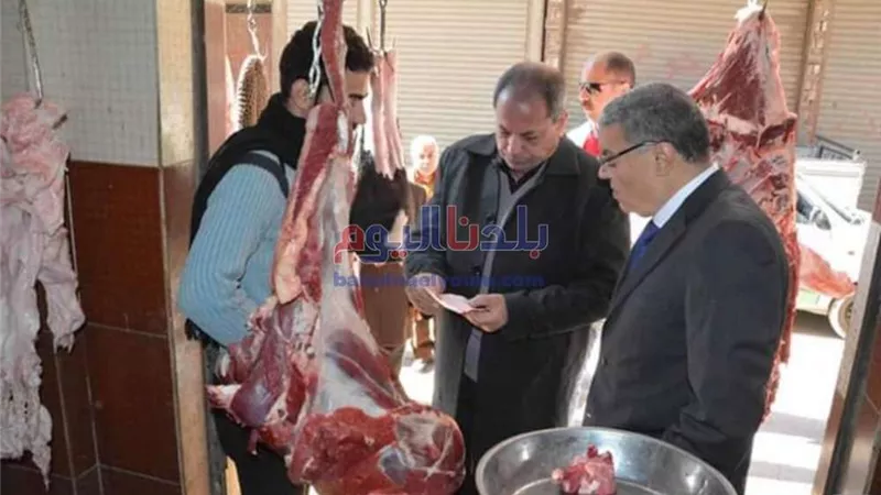 تحرير 49 مخالفة تموينية بالمنيا