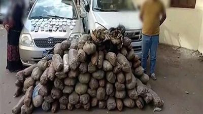 تنفيذ 774 حكمًا قضائيًا في أسوان