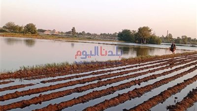 الجفاف يهدد نصف أراضي الاتحاد الأوروبي لهذا السبب