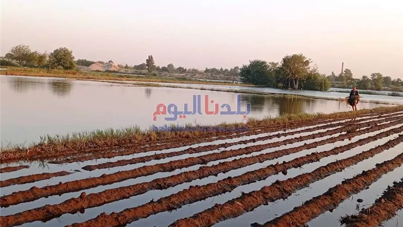 الجفاف يهدد نصف أراضي الاتحاد الأوروبي لهذا السبب