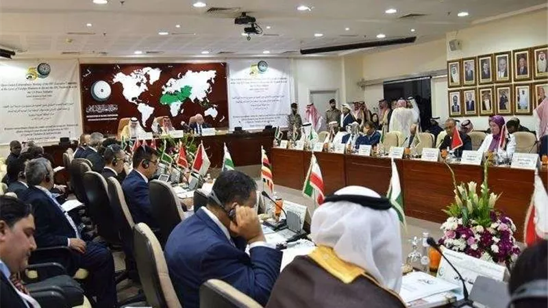 منظمة التعاون الإسلامي تؤكد ضرورة عودة الأوضاع إلى سابق وضعها في عدن