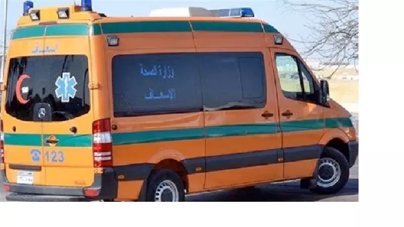 كان بيجيب أكل للشغل.. مصرع طفل في حادث تصادم بالدقهلية