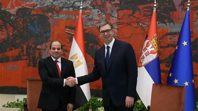 رئيس صربيا: ناقشت مع الرئيس السيسي الأوضاع فى أوكرانيا وتأثيرها على بلدينا