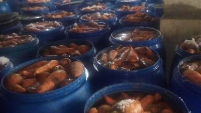 ضبط 6 طن مخللات وفول سوداني غير صالحة للاستهلاك في الدقهلية