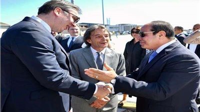 السيسي: الاقتصاد المصري تلقى صدمتين هائلتين لكنه استطاع الصمود