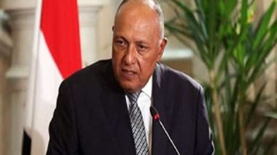 سامح شكري: إقرار أوروبي بضرورة الحفاظ على مصالح مصر المائية (فيديو)