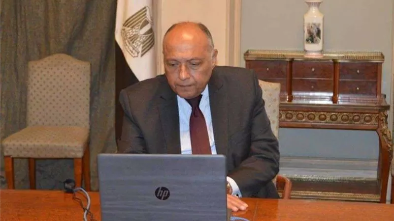شكري يؤكد موقف مصر الراسخ من القضية الفلسطينية