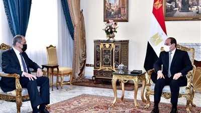 السيسي يؤكد على لغة الحوار والدبلوماسية لحل الأزمة الروسية الأوكرانية