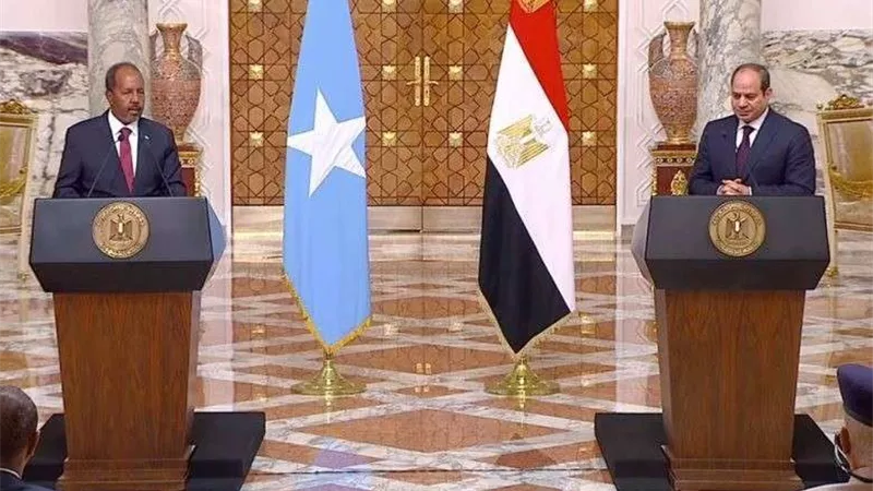أهم ما دار في لقاء الرئيس السيسي بنظيره الصومالي اليوم