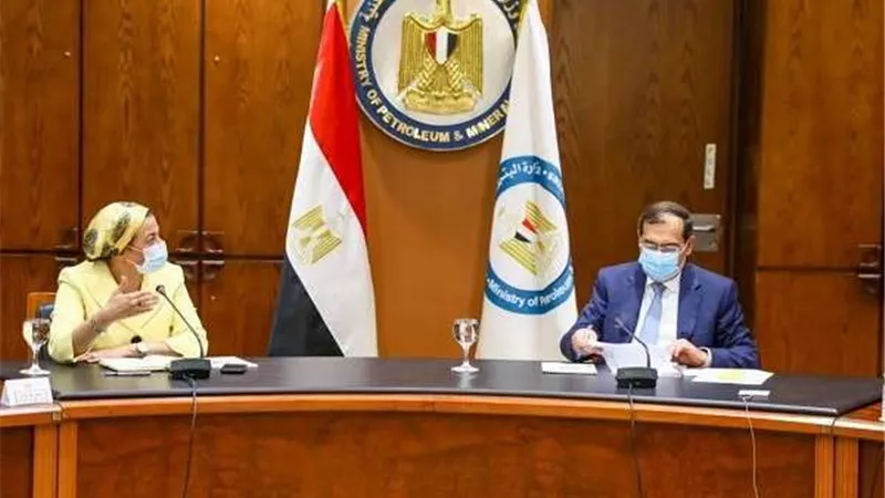 وزيرا البترول والبيئة يبحثان تنظيم فعاليات لخفض الكربون بمؤتمر المناخ COP27