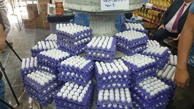 وزارعة الزراعة: ضخ كميات كبيرة من البيض بسعر58 جنيه للكرتونة